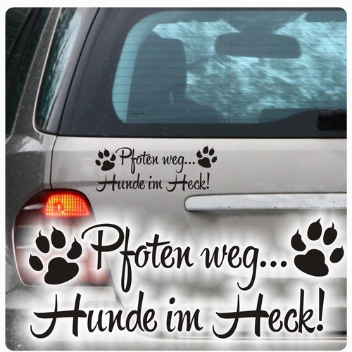 Pfoten weg hunde im heck - pfoten,