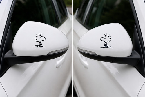 2er set woodstock spiegel auto - 2er,