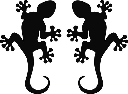 Auto aufkleber gecko - auto,